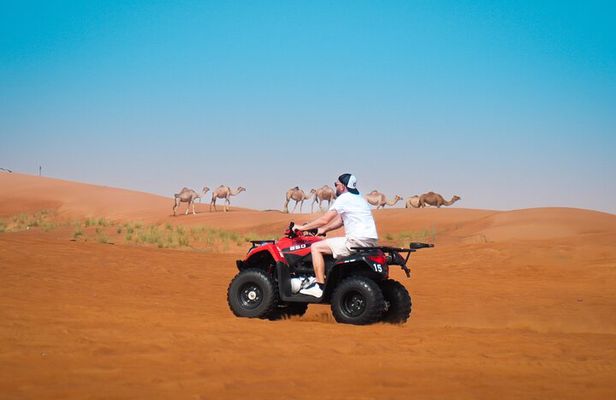Evening Quad Bike, Desert Safari in Dubai , BBQ Dinner and Shows