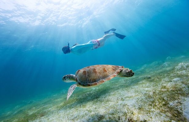 Snorkeling in Destin