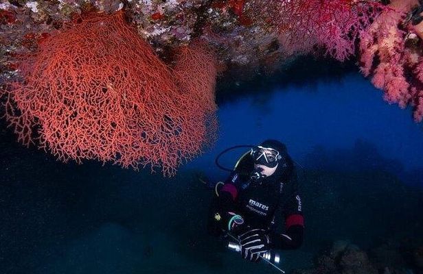 Diving, Snorkeling & Leisure Cruises by Boat