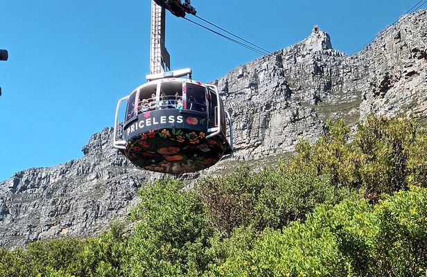 Cape of Good Hope, Table Mountain & Penguins Tour + All Tickets