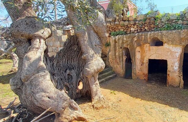 e-Bike tour from Monopoli to the rocky village of S. Andrea 