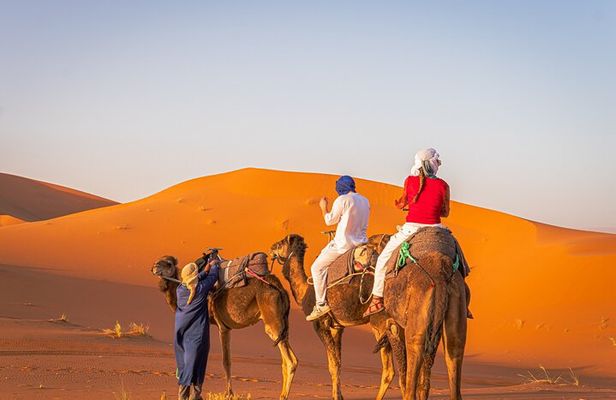 BEST Marrakech to Fes desert tour 3 days