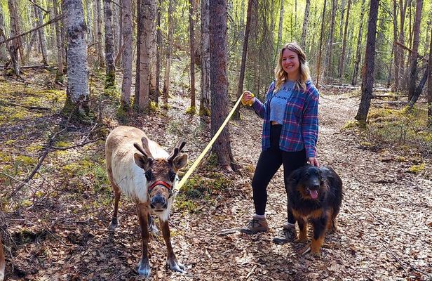 The Reindeer Grove Homestead Tour and Forage