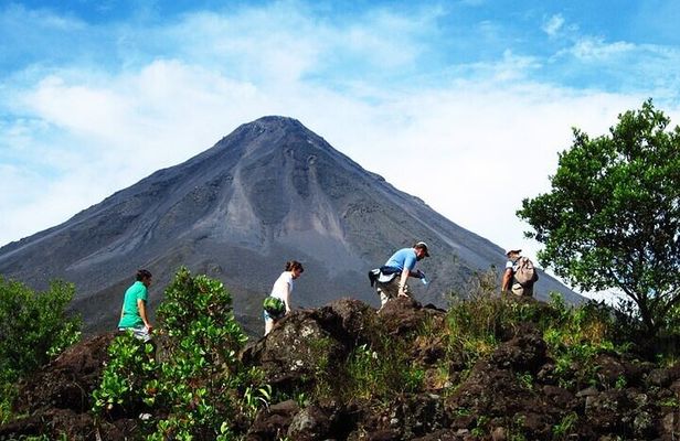 Arenal Volcano Rainforest & Natural History Tour