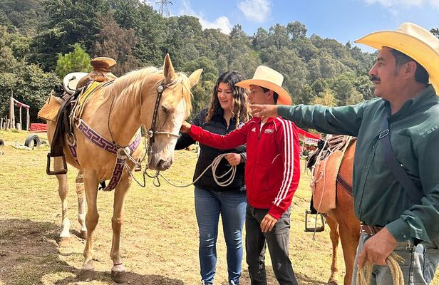 Horse experience with my family