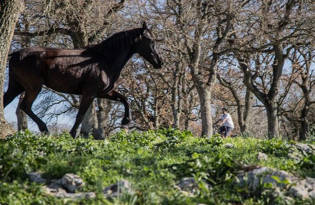Martina Franca e-Bike tour . Visit a breeding and a dairy farm