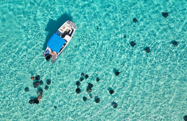 Sunrise at Stingray City, Private Tour
