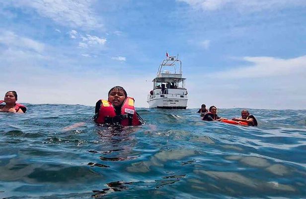 Palomino Islands Tour | Palomino Islands From Lima 2025