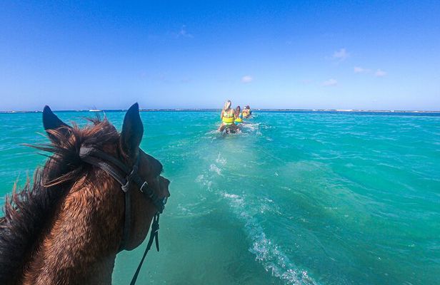 Dunns River Falls Climb, ATV, Horseback Ride & Swim, and Ziplines