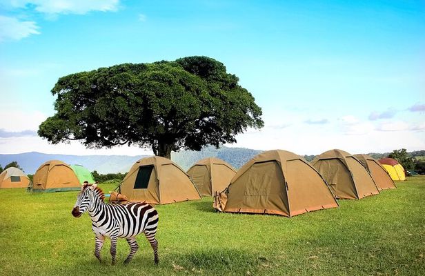 2 Day Camping 4x4 Safari: TARANGIRE & NGORONGORO CRATER