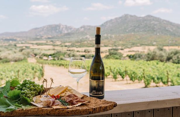 Gallura Winery with Wine Tasting in Olbia