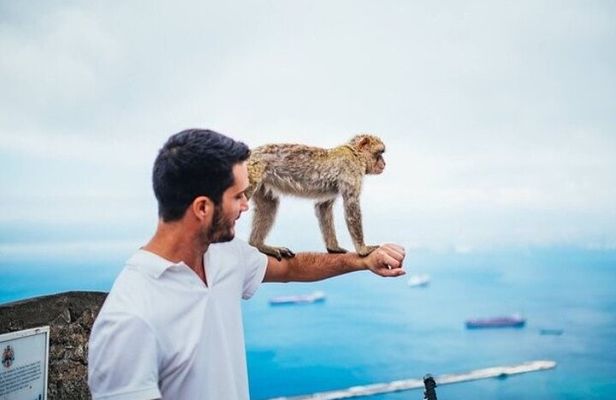From Malaga, Gibraltar excursion with transport