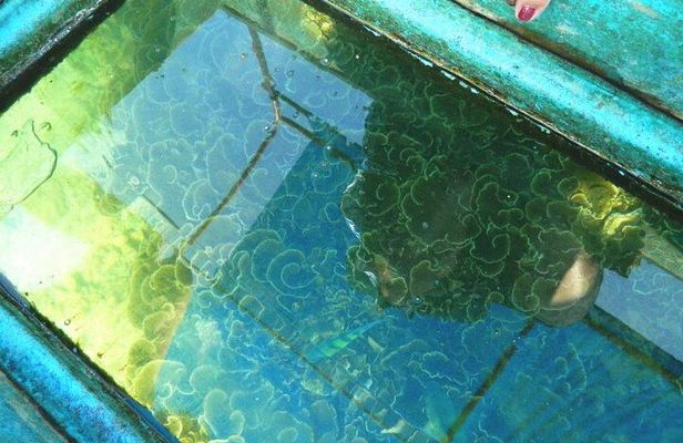Private Glass Bottom Boat Ride in Trincomalee Beach