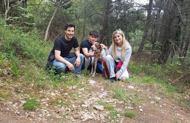  2 hours Private Activity - Truffle hunting in Assisi
