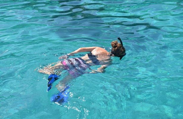 Saona Island Small-Group Tour with Natural Pool, Lunch & Drinks