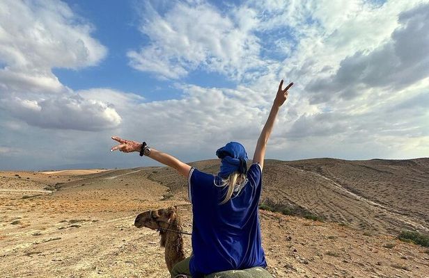 Agafay Adventure: Quad & Camel, Dinner Show, Desert with Sunset