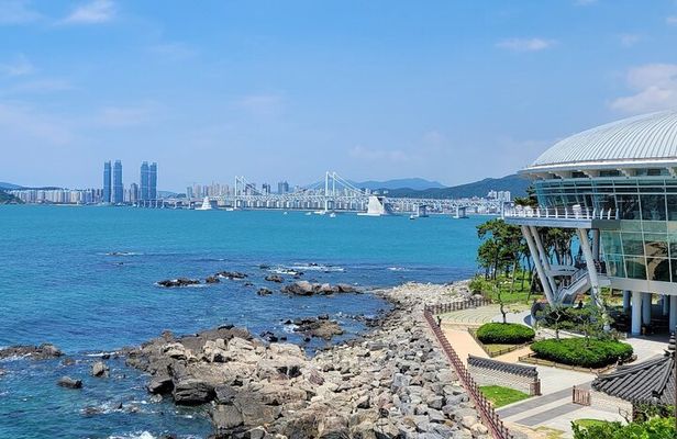 Busan Full-Day Customizable Private Tour in English