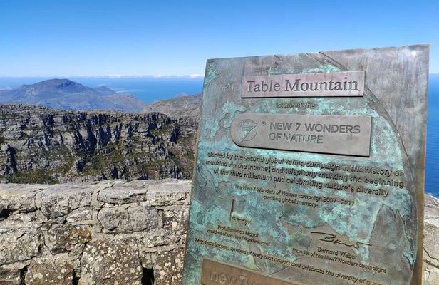 Best of Cape Private Tour: Cape Point, Penguins & Table Mountain