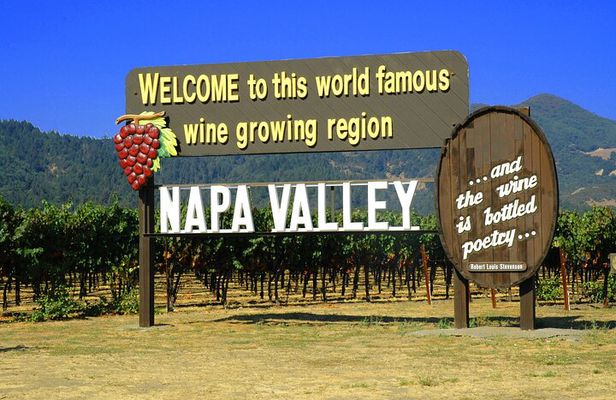 Napa or Sonoma Private Wine Tour from San Francisco