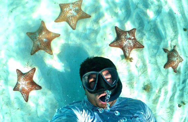 The Cozumel Turtle Sanctuary Snorkel Tour
