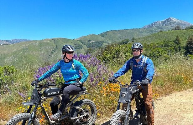 Big Sur Electric Bike Tour Along Old Coast Road