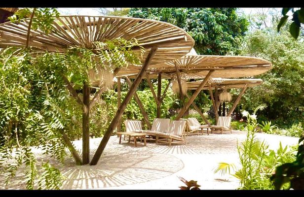 2 Days Private Midrange Safari from and back to Zanzibar