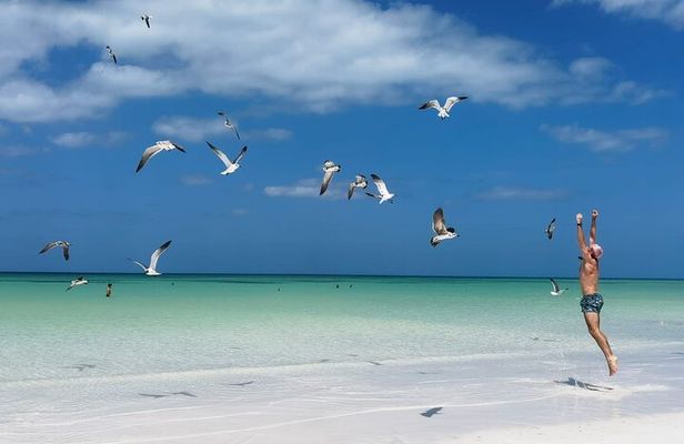 Full Day Tour of Isla Holbox and Isla Pasión with Cenote