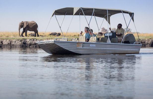 A 2 Day Victoria Falls & Chobe Safari Combo