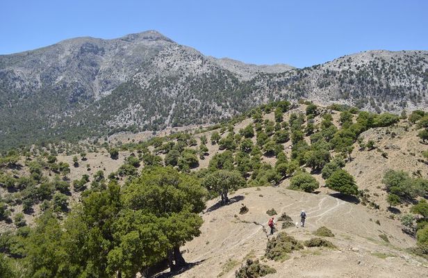Trekking Rouvas Gorge