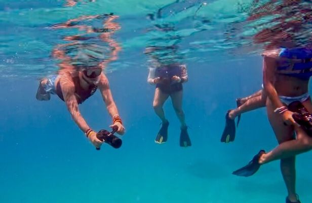 Jet Snorkel-Snorkeling with Turtles