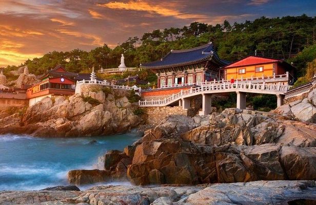 Full-Day Busan Highlights Private Guided Tour