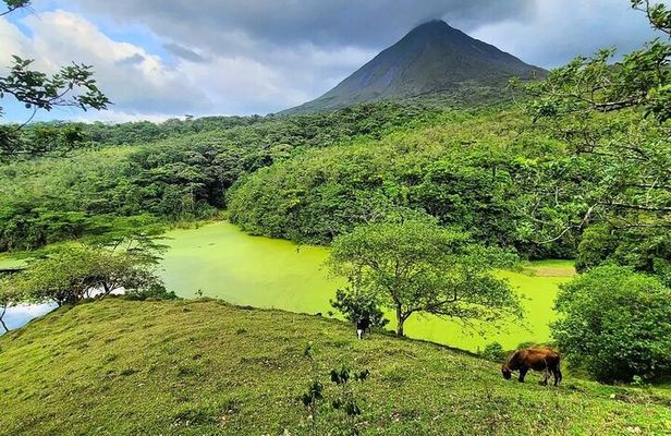 Half Day Adventure from Arenal -2 tours in 1, 4 options to choose