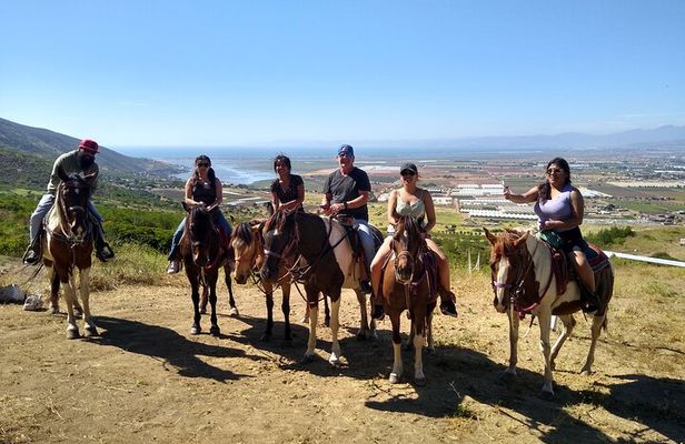Horseback Mountain Trail Ride