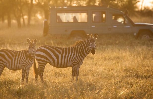 4-Day Serengeti, Ngorongoro, & Lake Manyara Budget Tour