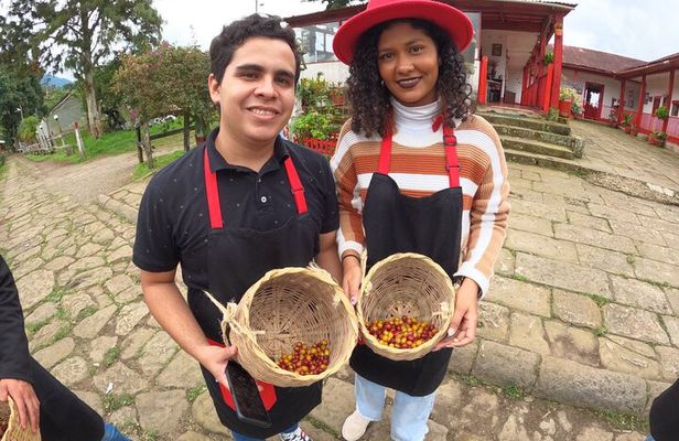 Coffee Farm Tour and beer tasting or a Choachí