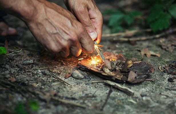 Private Experience in Wildlife Survival School in Bulgaria