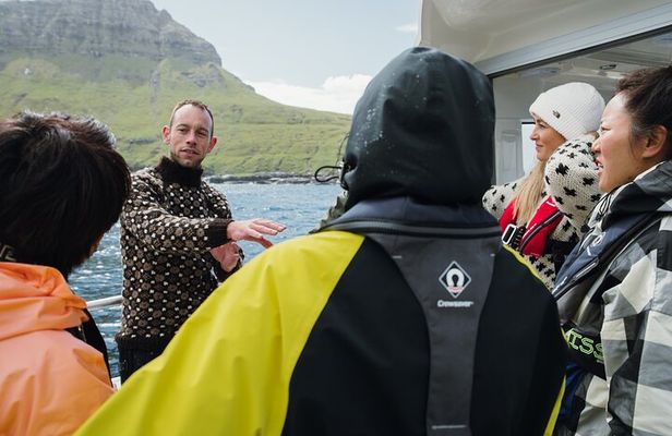 Private Sightseeing Tour with Local Skipper to Vágar Area