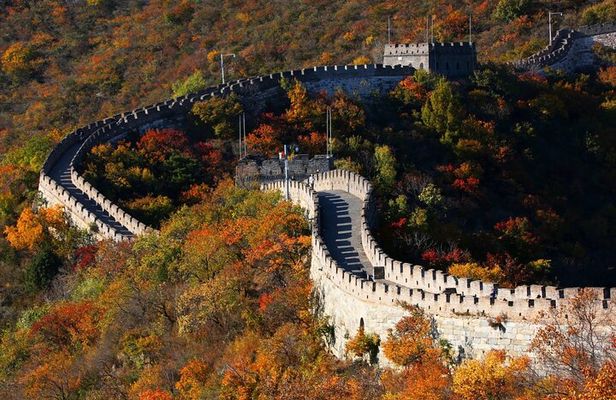 Great Wall Day Tour with Yoyo