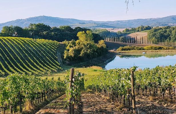 Chianti Wine Tastings Day Trip at Sunset from Florence