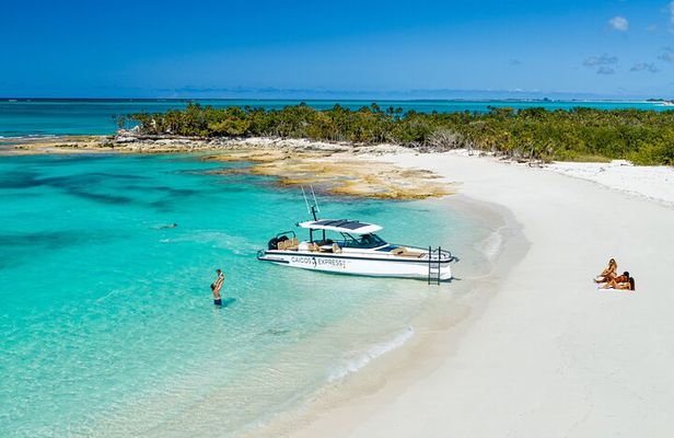Half Day Private Luxury Axopar Charter in Turks & Caicos