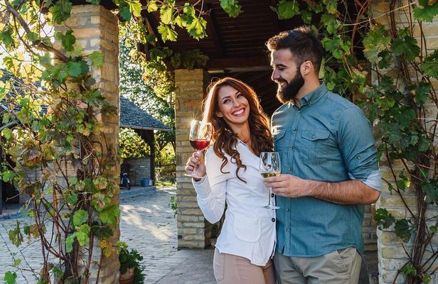 Private Vineyard Tour with Dinner Under the Stars in Karnas
