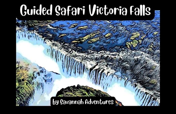 Guided Tour of the Falls (ZIM side) Wildlife Safari, by Savannah
