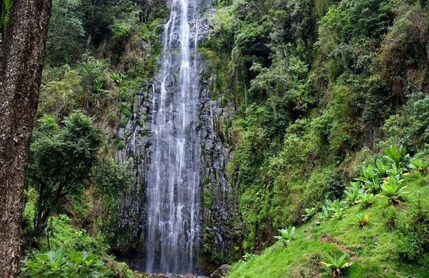 Day trip Materuni watsrfalls and chemka hotsprings tour
