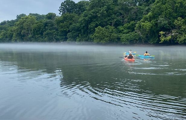 Half-Day Guided Kayaking in the Smoky Mountains of Tallassee