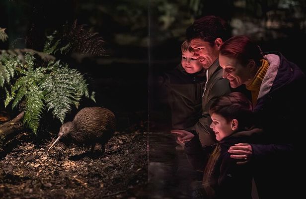 Kiwi Park Queenstown Admission