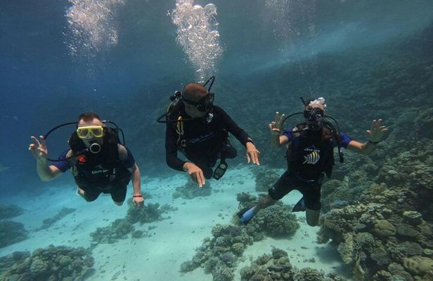 Scuba Diving in Hurghada _ 2 Stops Dive With Equipments & Lunch
