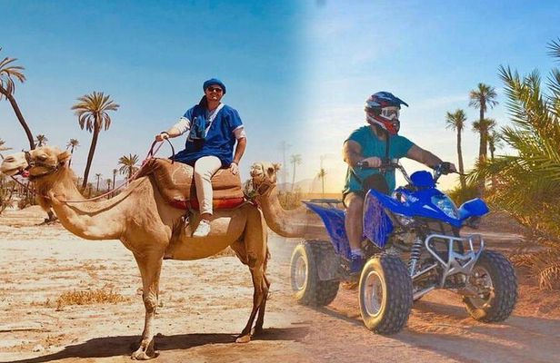 Marrakech Oasis Escape: Camel Ride & Quad Bike Adventure