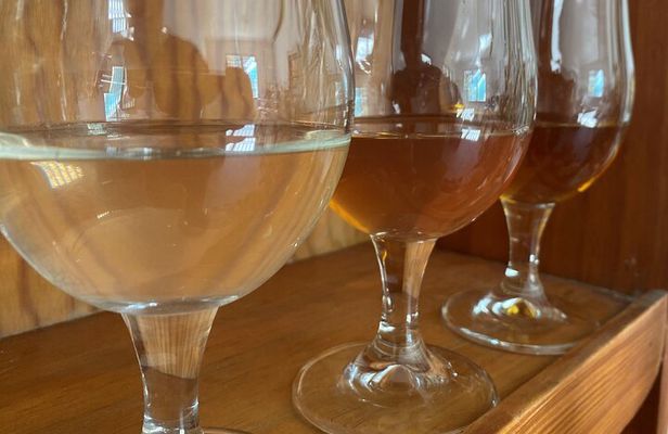 Private Mead Taste Experience in Lourdes