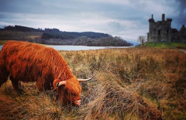 Full Day Private Tour in West Highlands, Oban and Glencoe