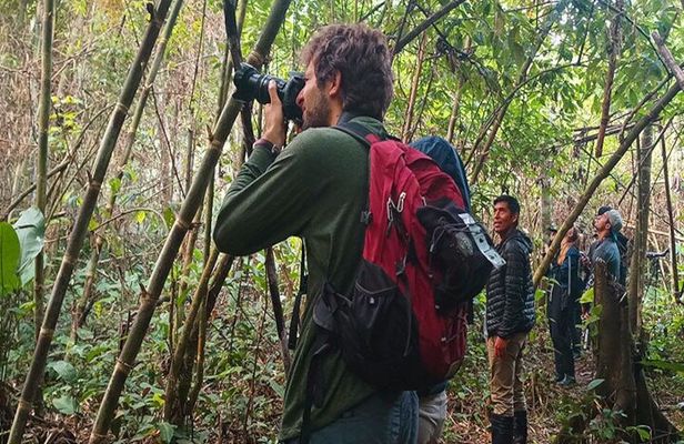 3 Days Guided Manu Jungle Tour from Cusco